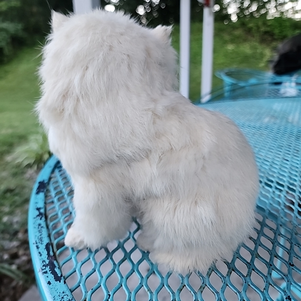 Vintage Rabbit Fur Cat Figure - Picture 3 of 9